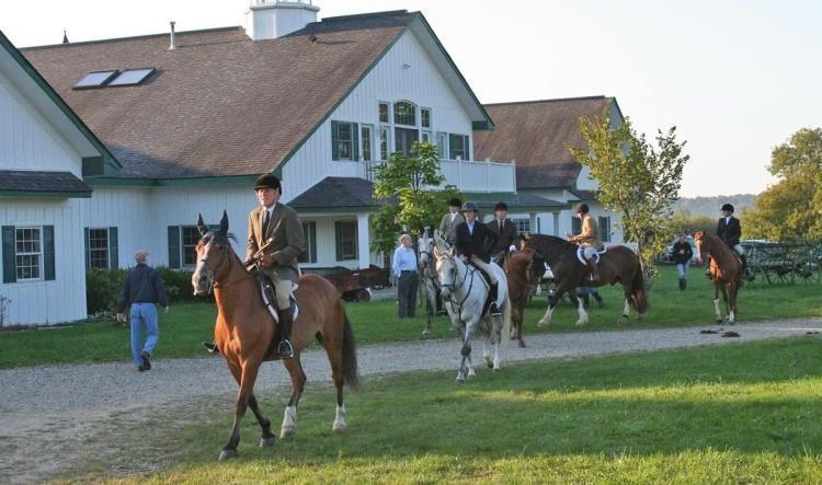 Why Metamora is Horse Country