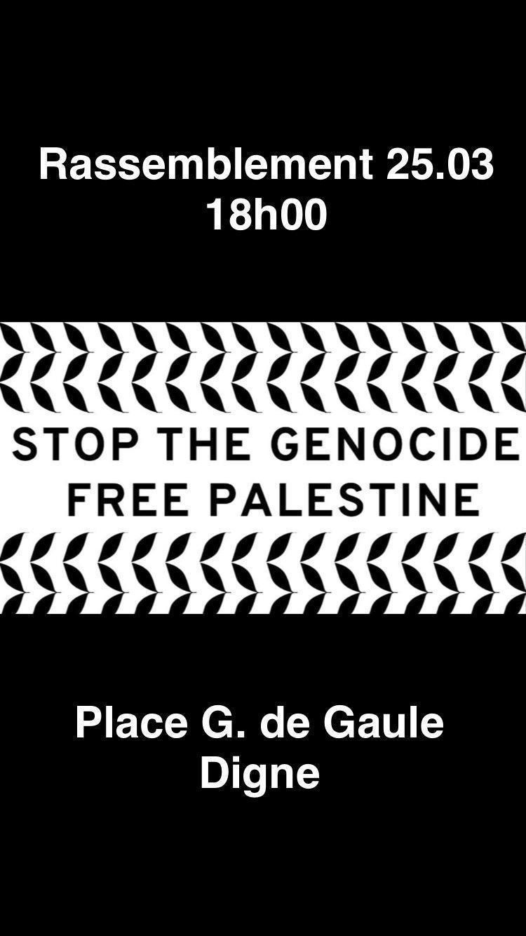 Free Palestine : stop génocide 