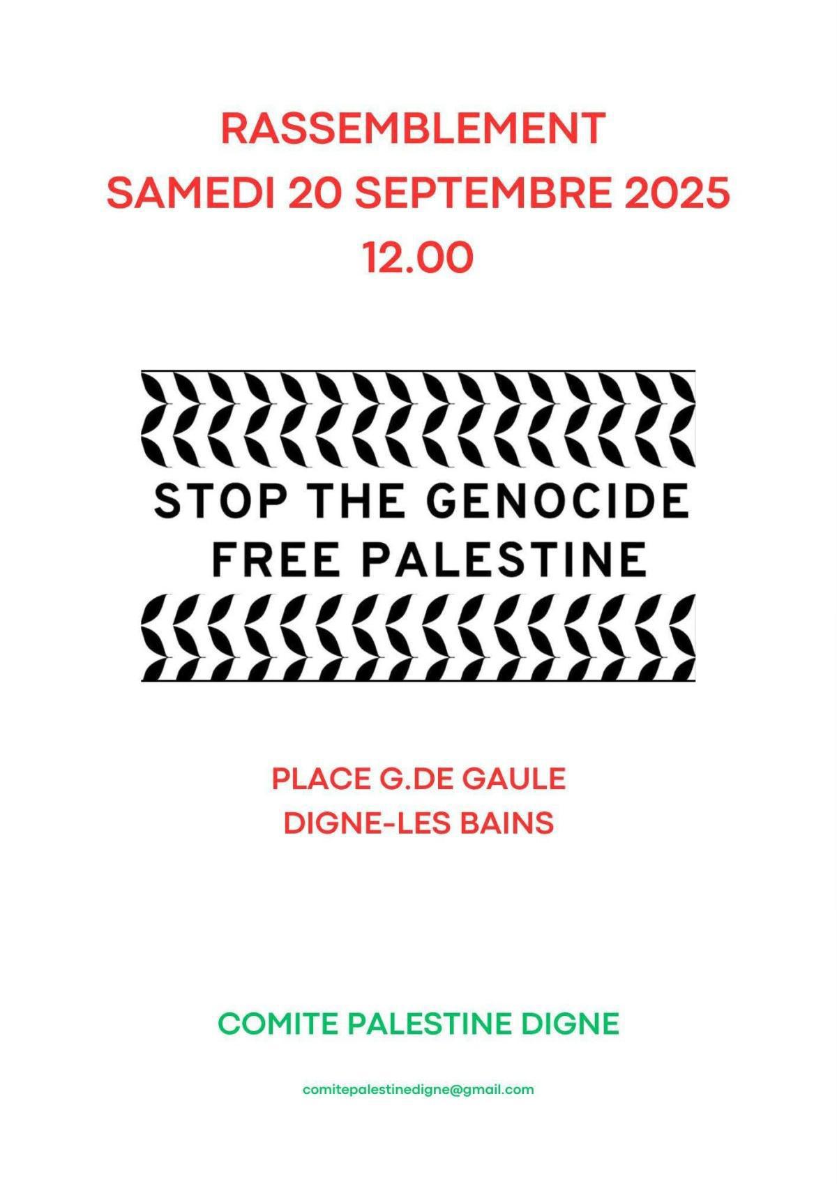 🇵🇸 🕊️RDV samedi 20 Septembre à Digne 