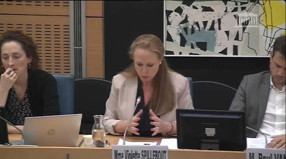Audition à l'Assemblée Nationale - Question de Violette Spillebout et la réponse du Snec-CFTC