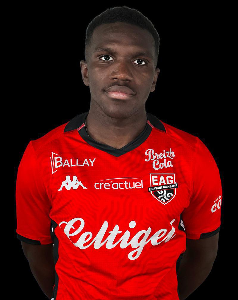 33 Tieri Godame