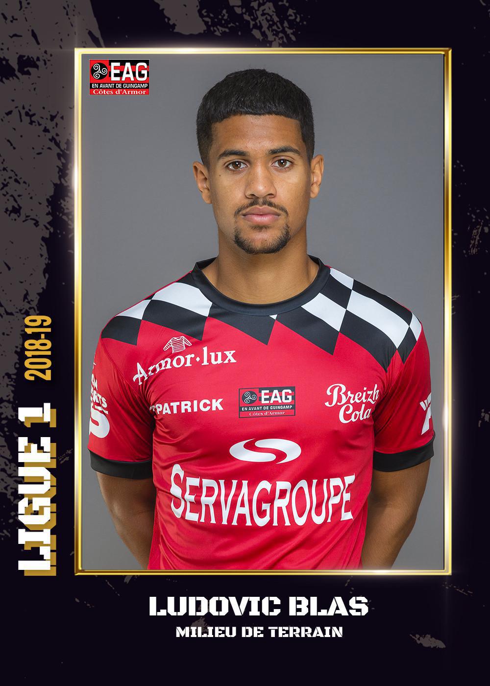 2018-19 - Ligue 1
