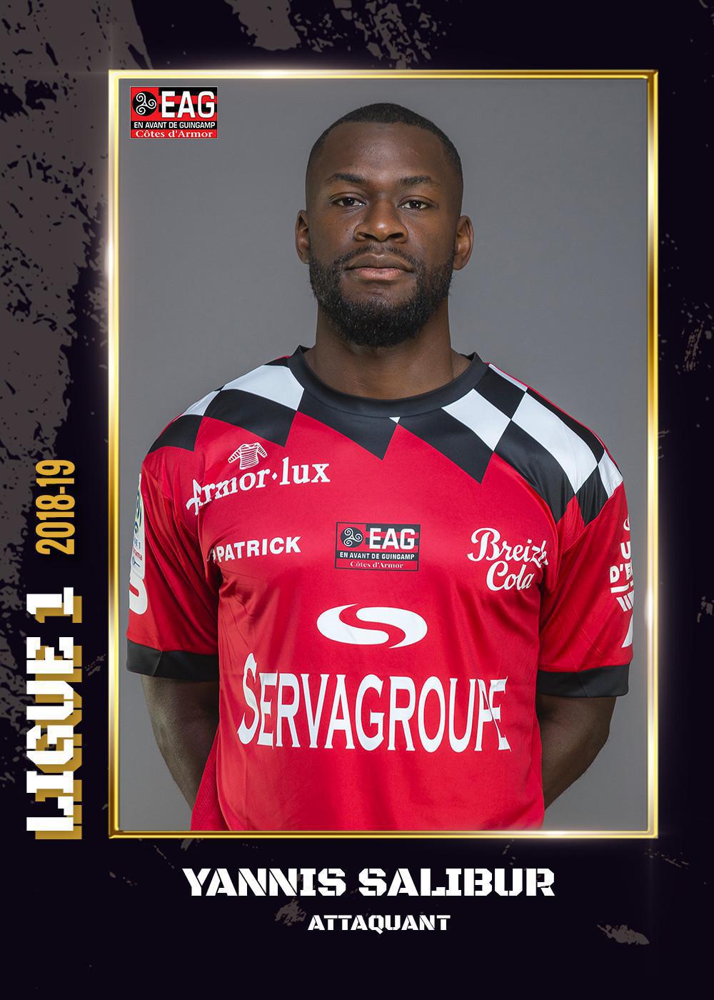 2018-19 - Ligue 1