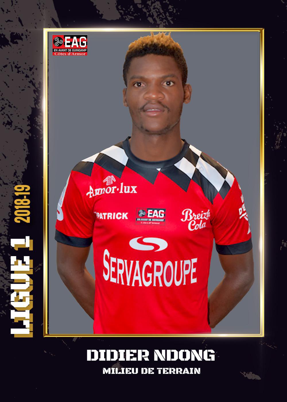2018-19 - Ligue 1