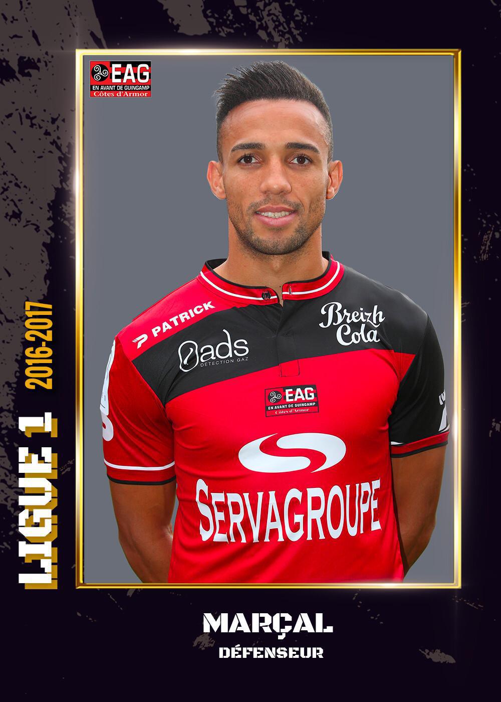 2016-17 - Ligue 1