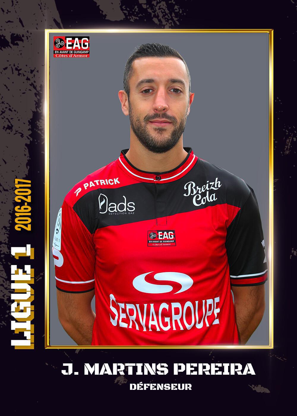 2016-17 - Ligue 1
