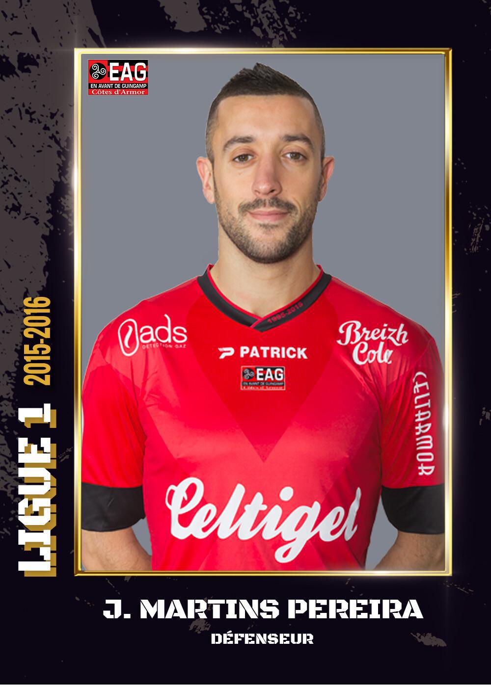 2015-16 - Ligue 1 