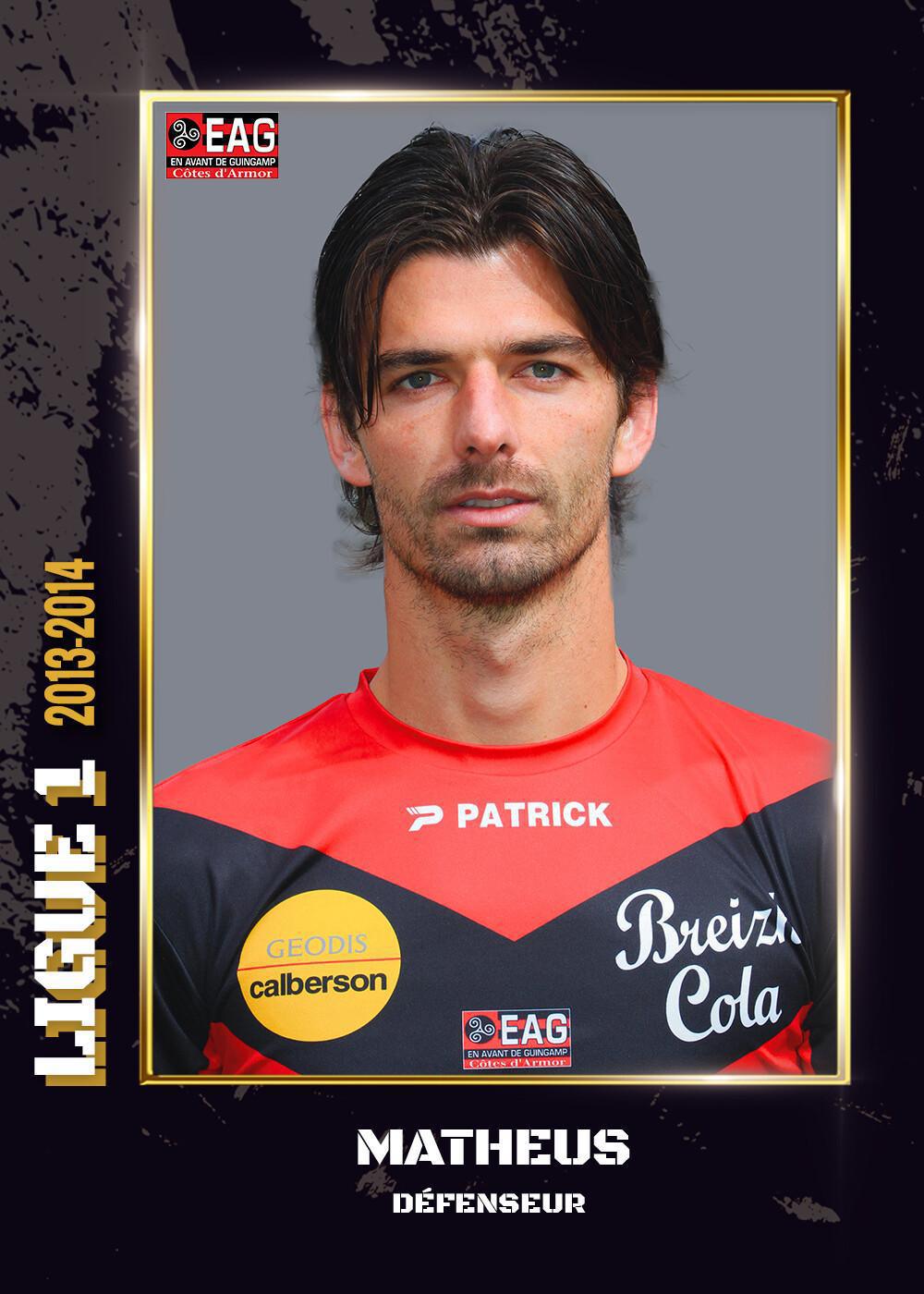 2013-2014 - Ligue 1
