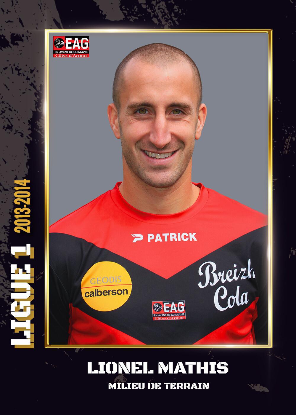 2013-2014 - Ligue 1