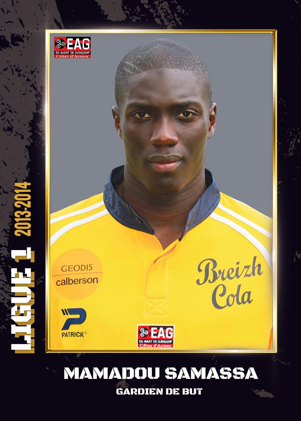 2013-2014 - Ligue 1