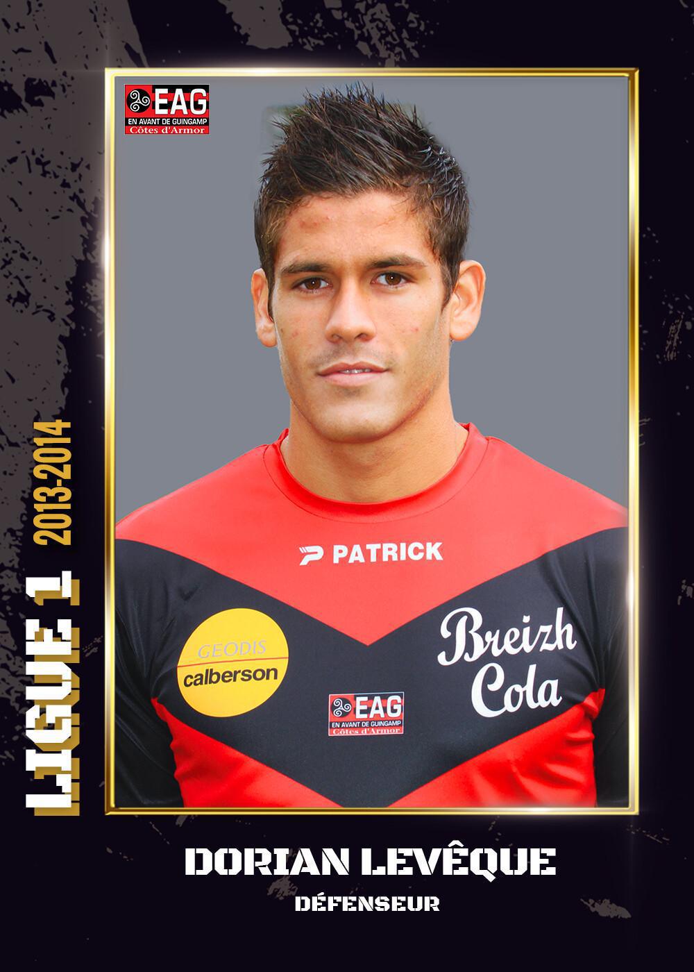 2013-2014 - Ligue 1