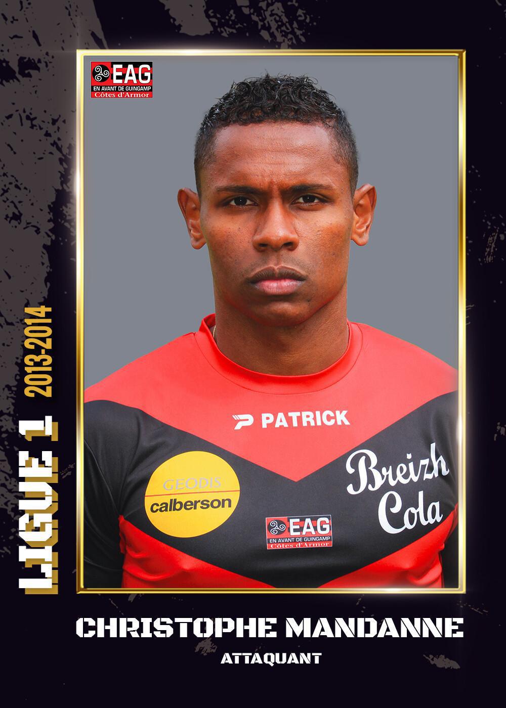 2013-2014 - Ligue 1