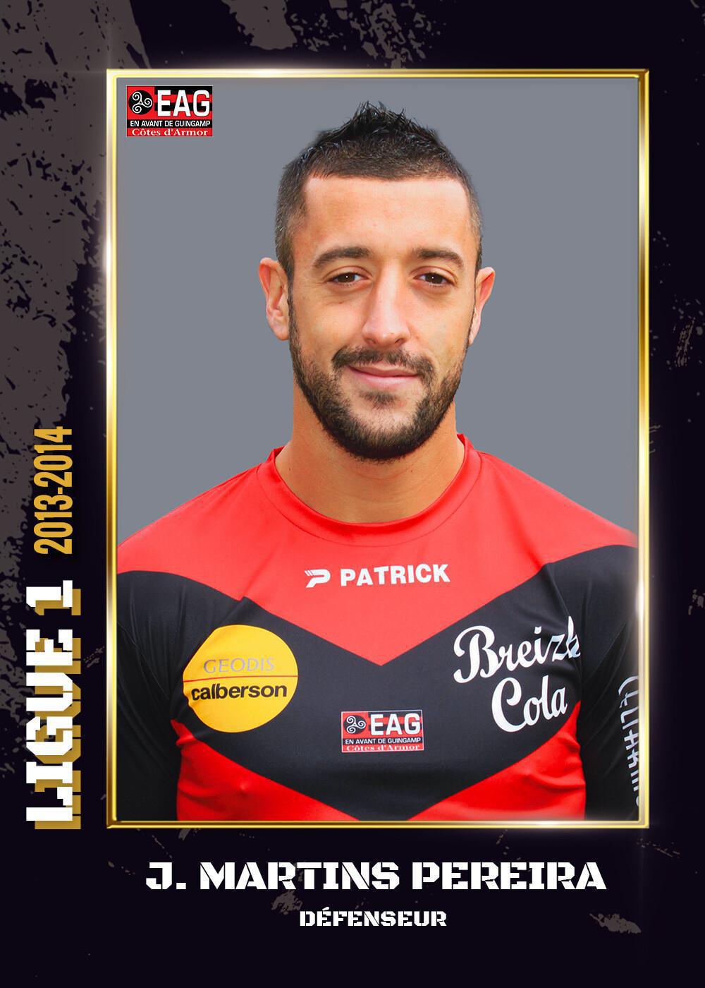 2013-2014 - Ligue 1