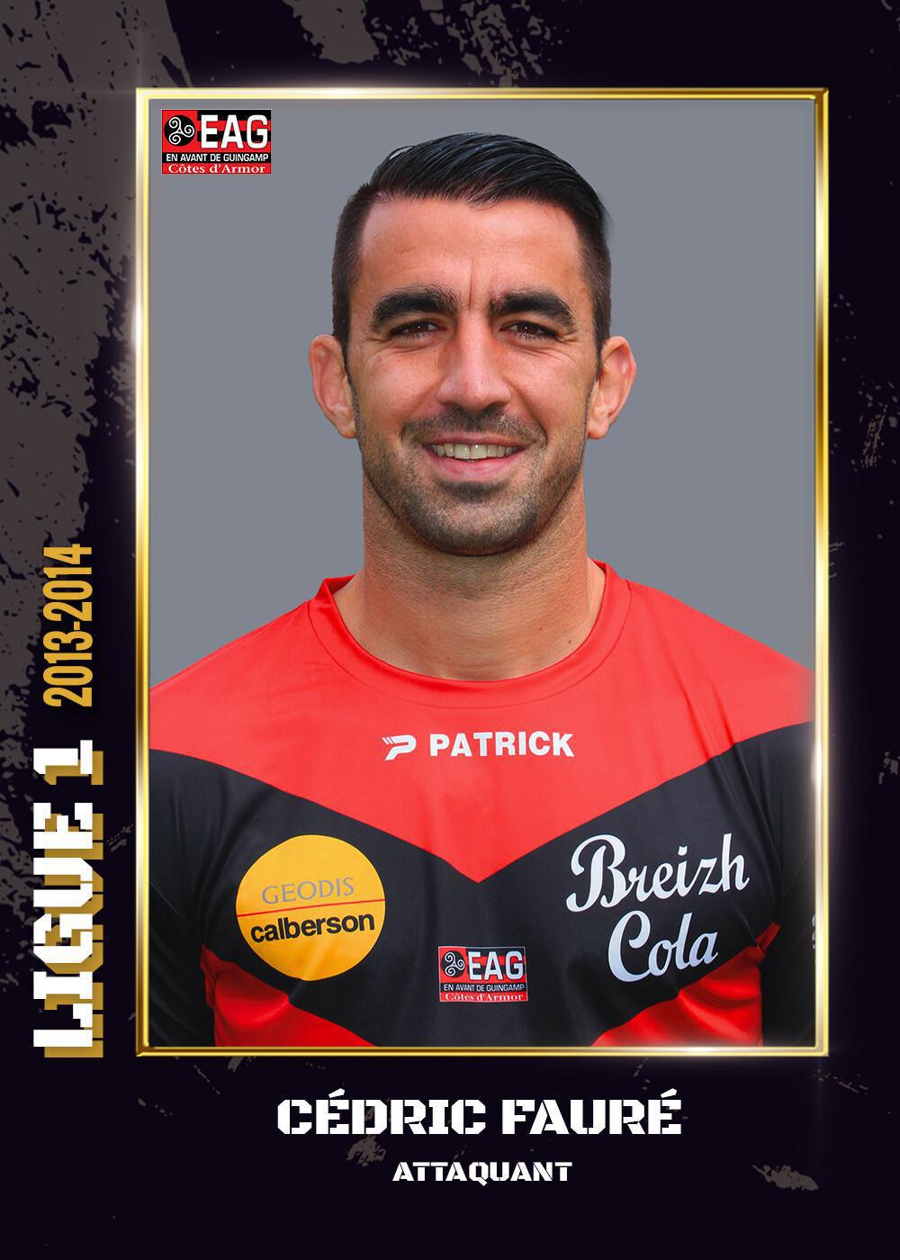 2013-2014 - Ligue 1