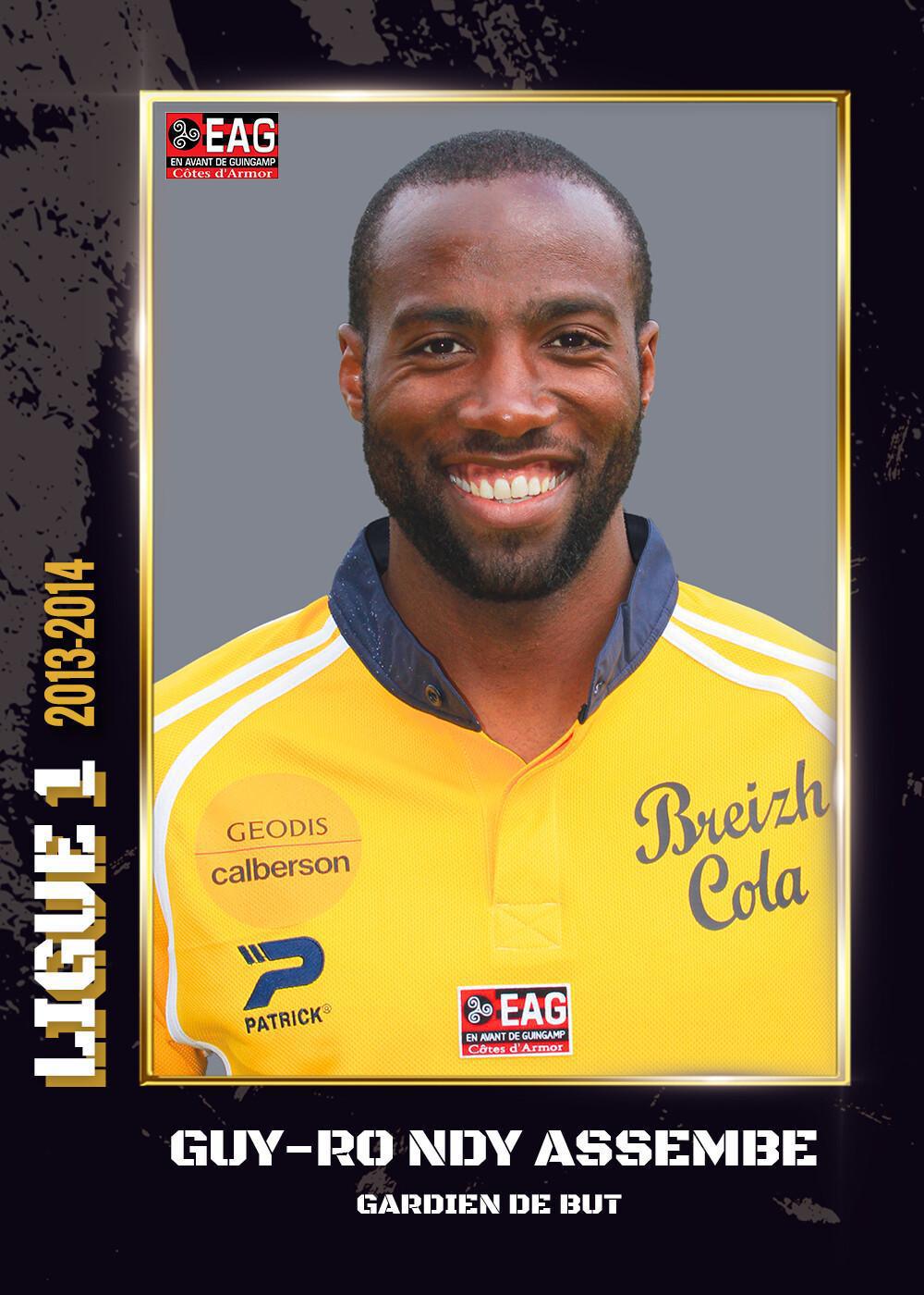 2013-2014 - Ligue 1