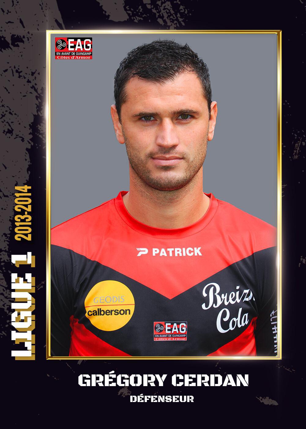 2013-2014 - Ligue 1