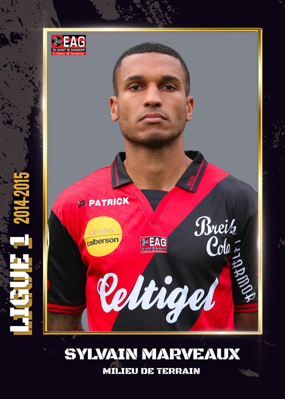 2014-15 - Ligue 1