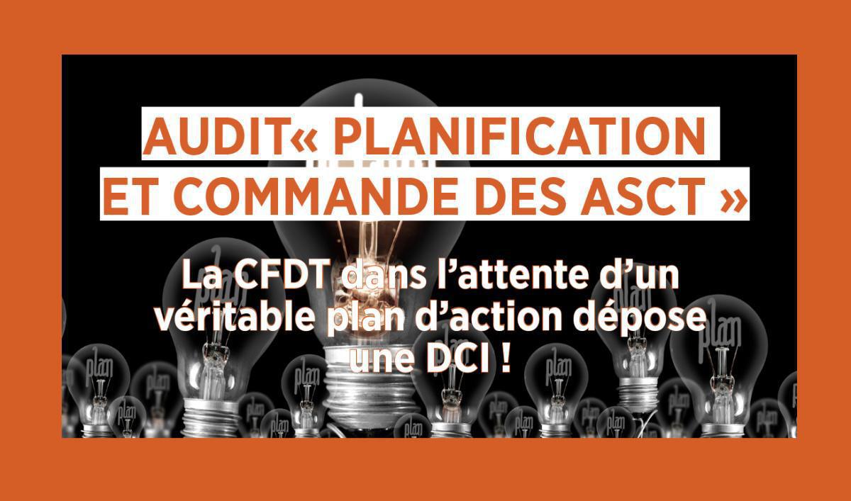 Audit " planification et commande des ASCT"