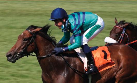 ARIA IMPORTANTE ARIA IMPORTANTE