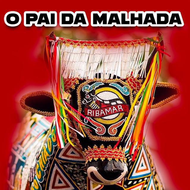 Bumba Boi de São josé de Ribamar