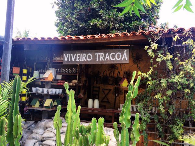 Viveiro Tracoá