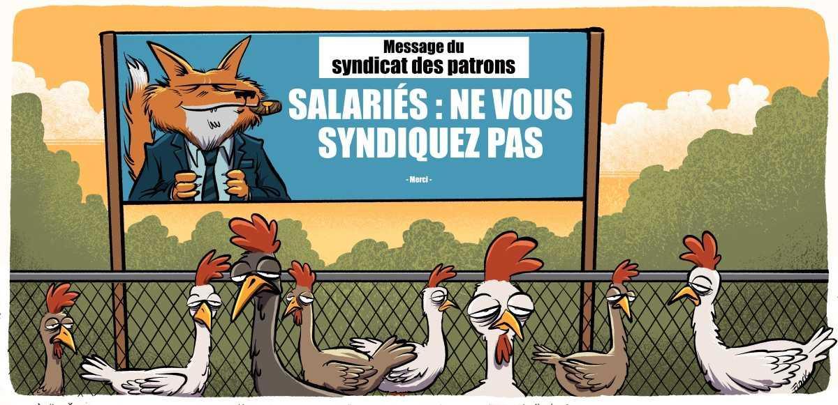 Le retour de SUD en infos ! Le retour de SUD en infos !