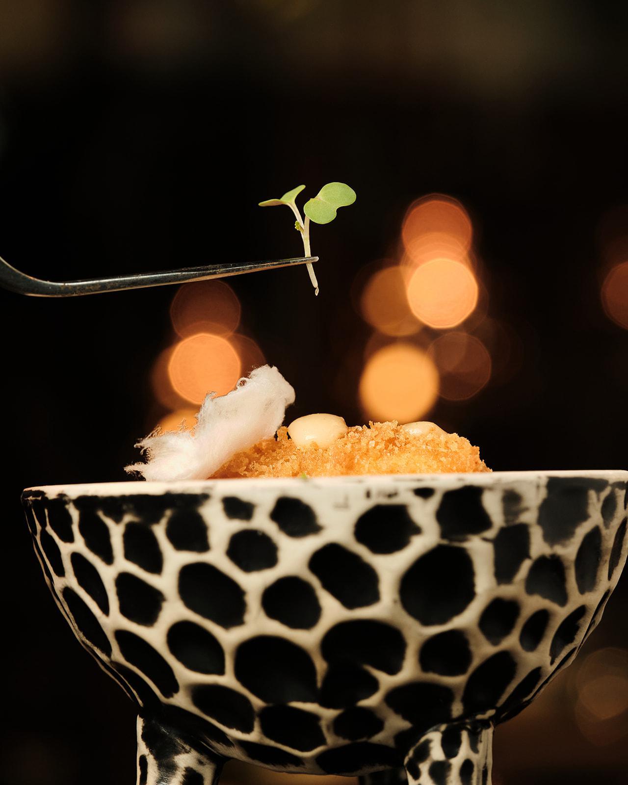 SNOB - Croqueta 2024 4_websize