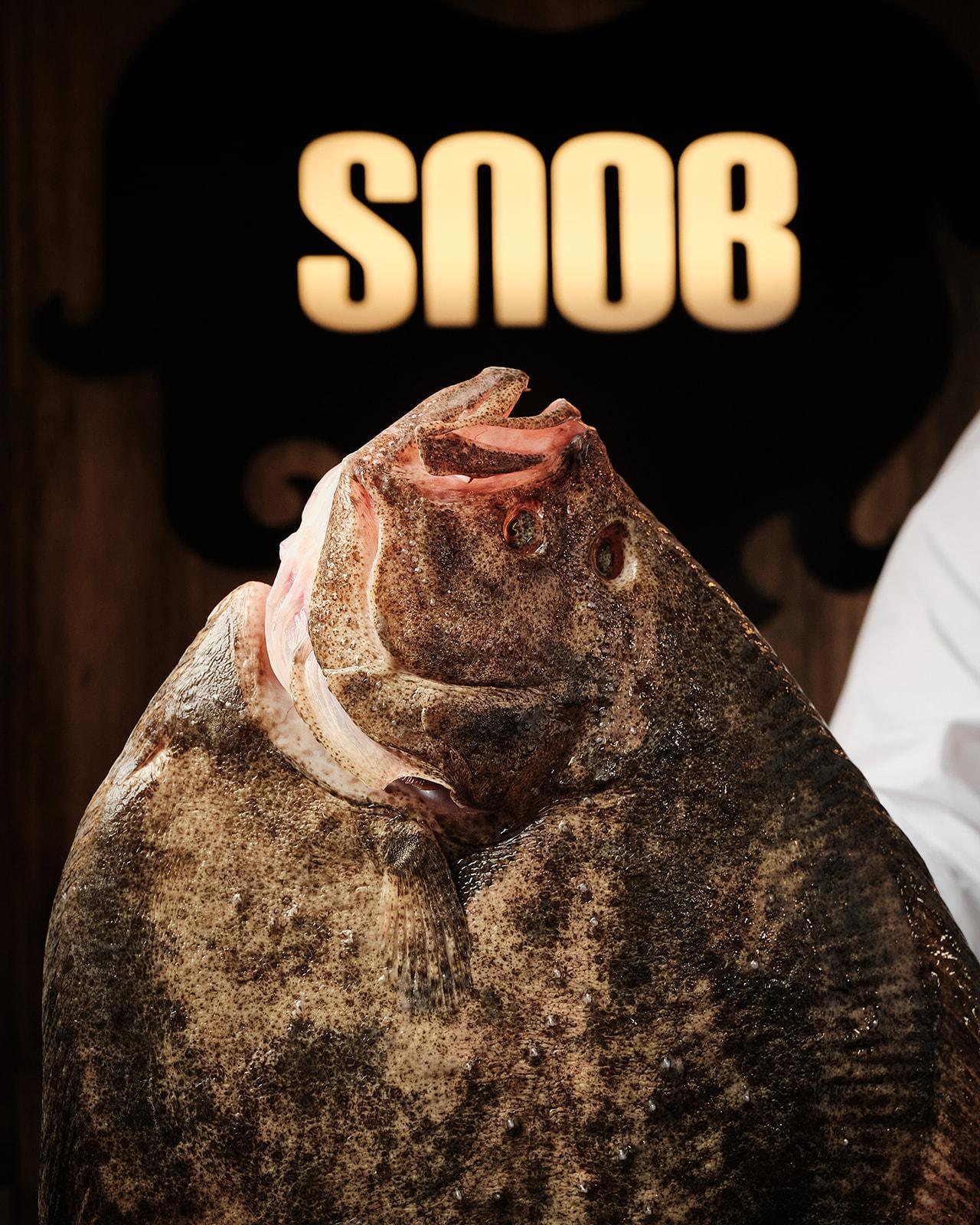 SNOB - Sesión 1 Abril 2024 3_websize