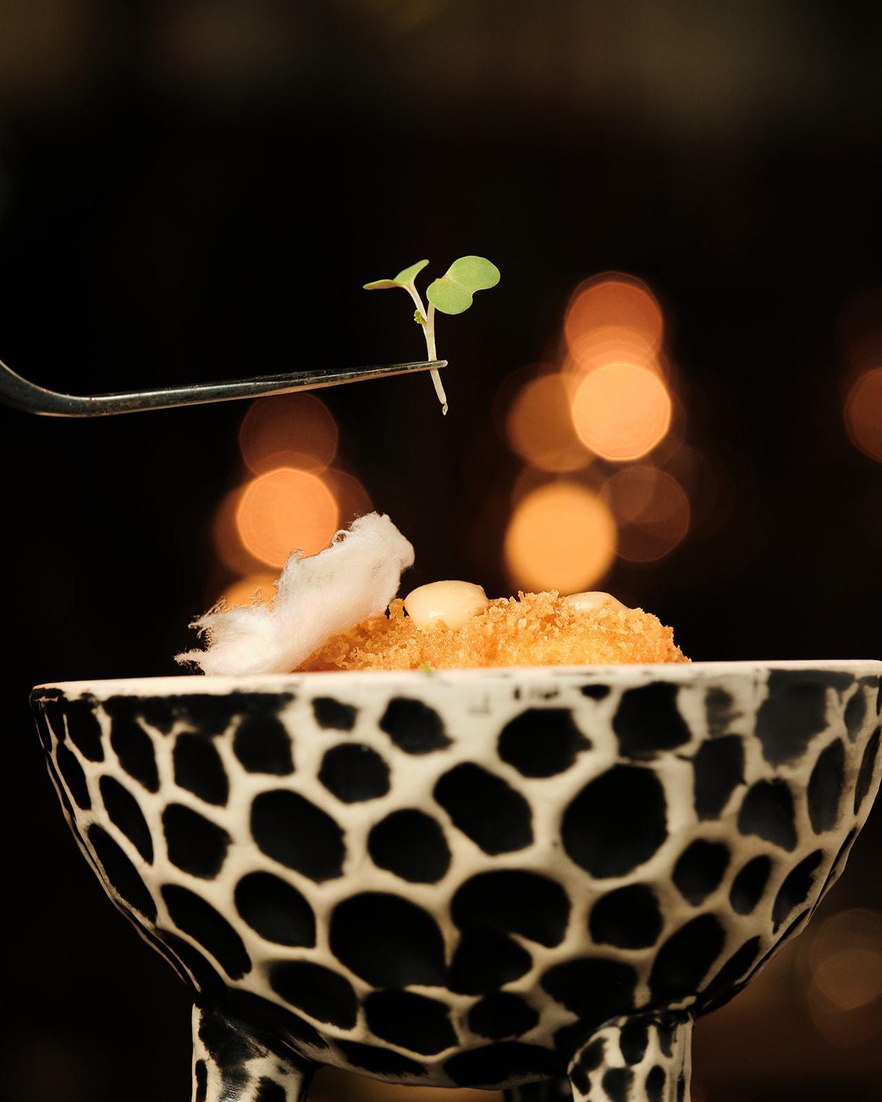 SNOB - Croqueta 2024 4_websize