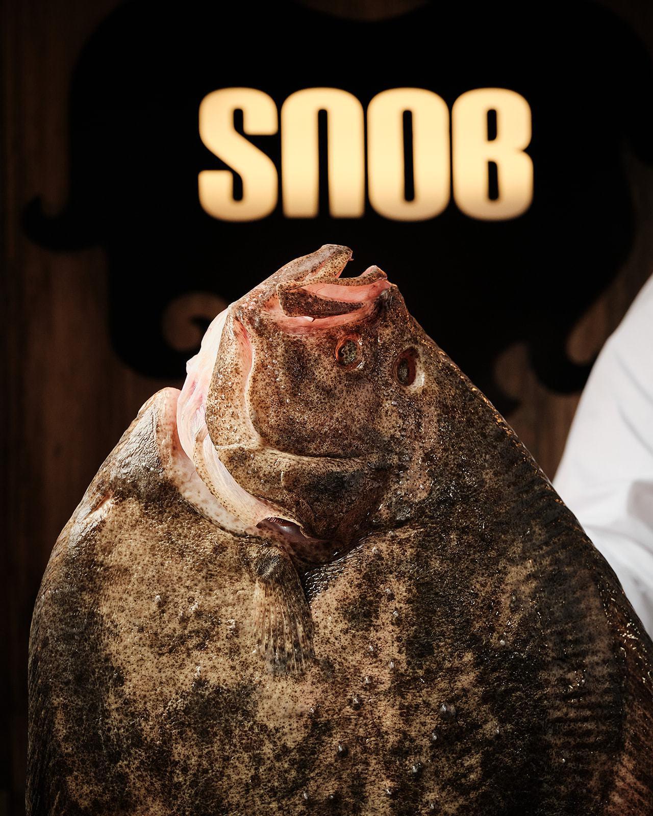 SNOB - Sesión 1 Abril 2024 3_websize