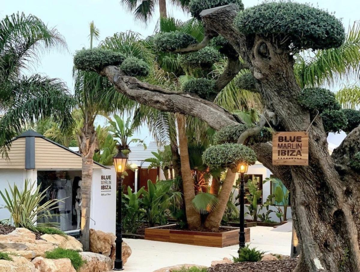 Blue Marlin Blue Marlin