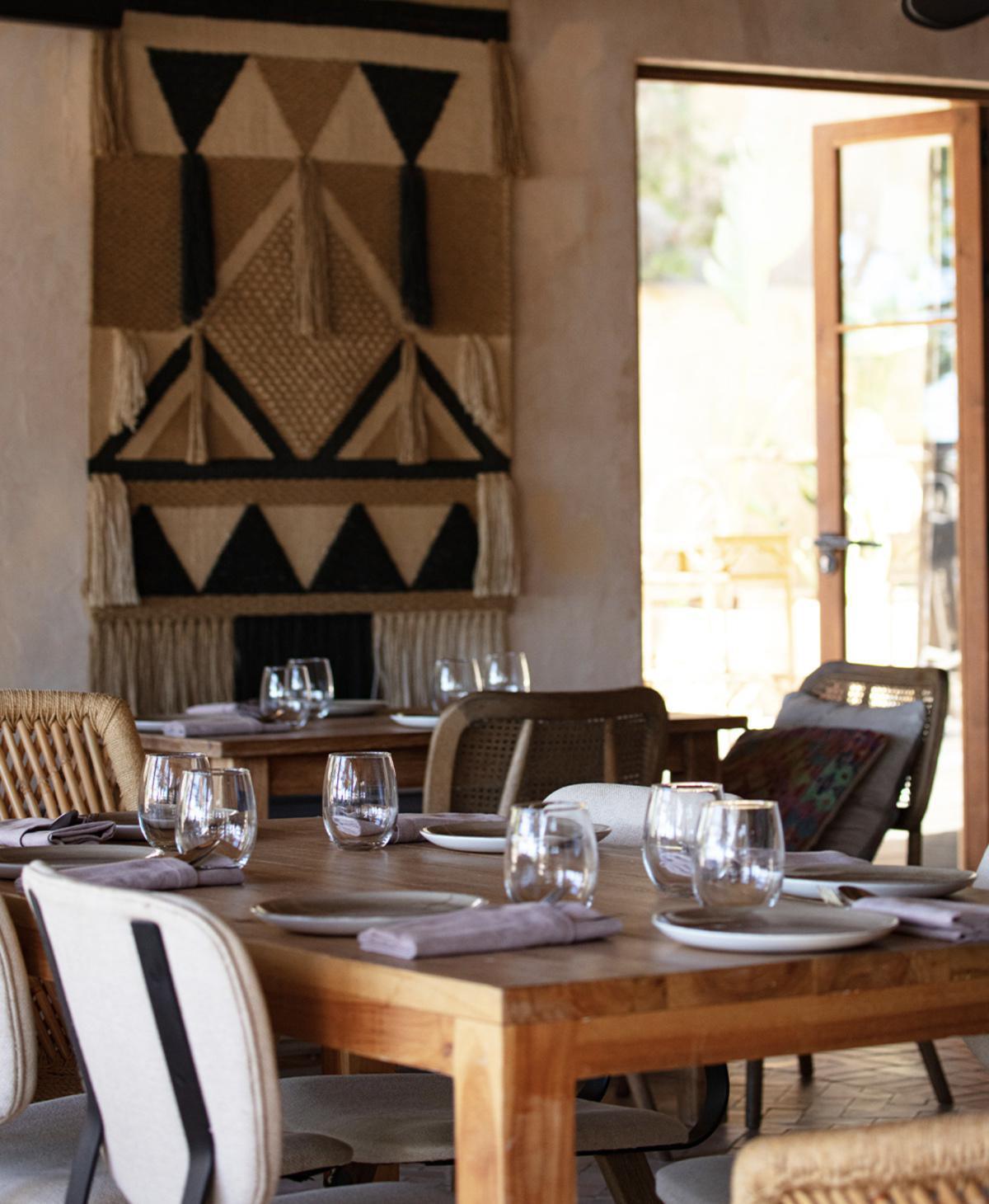 Tigre Morado Tigre Morado