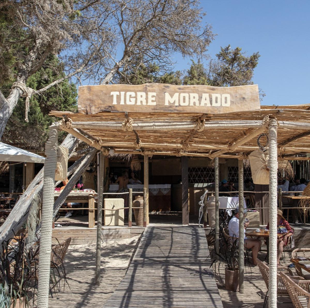 Tigre Morado Tigre Morado