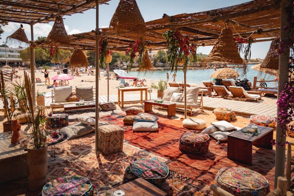 Tigre Morado Tigre Morado