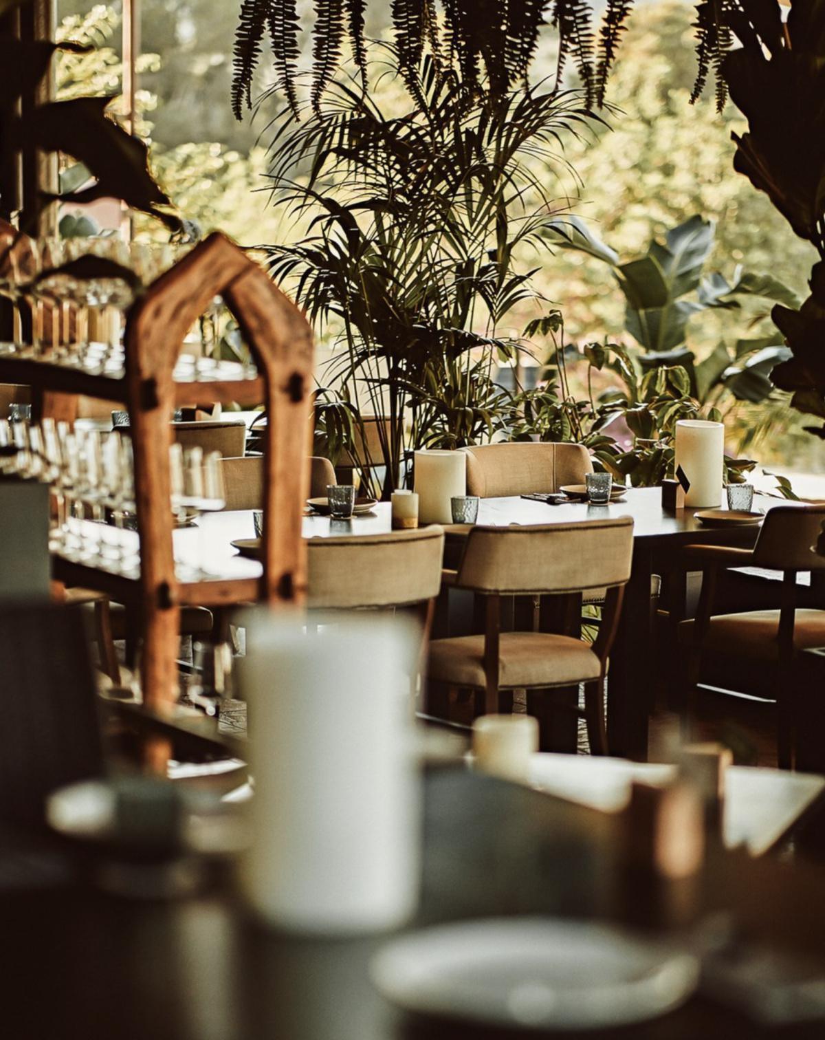 Cova Santa Cova Santa