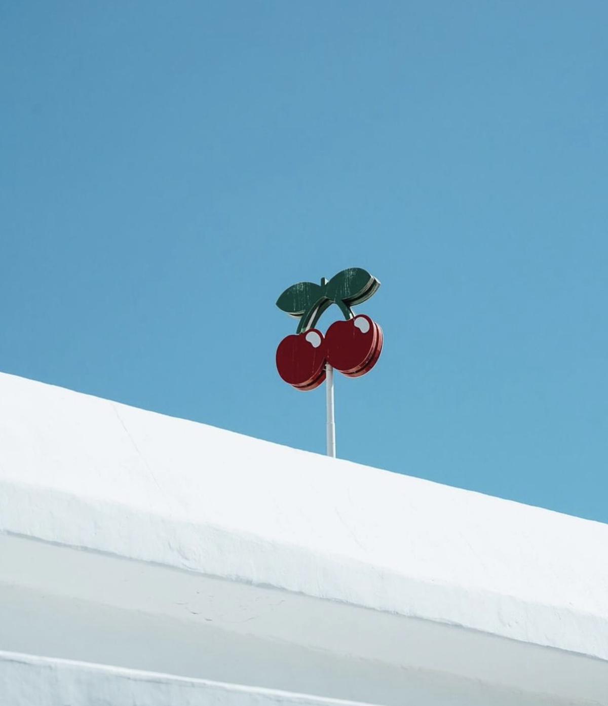 Pacha