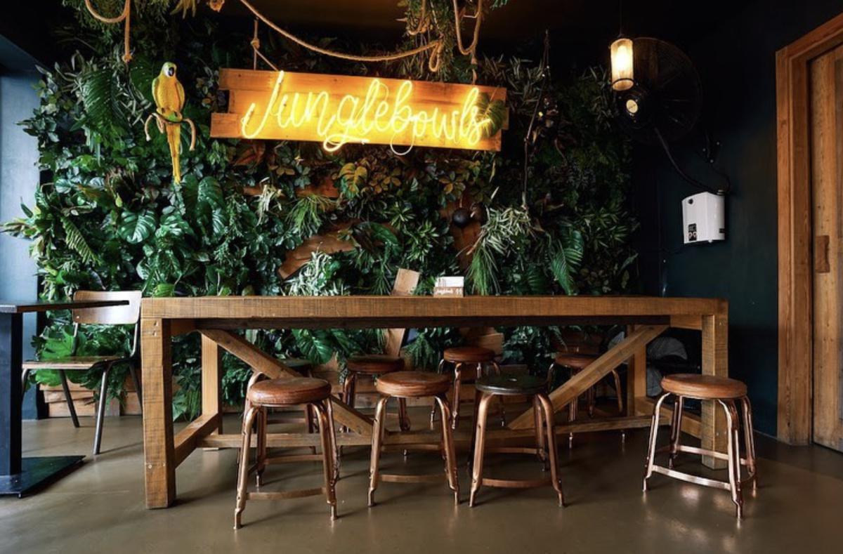 Junglebowls Junglebowls