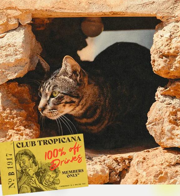 Pikes Ibiza Pikes Ibiza