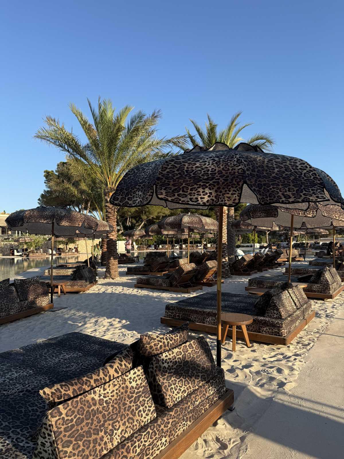 Clap House Ibiza Clap House Ibiza