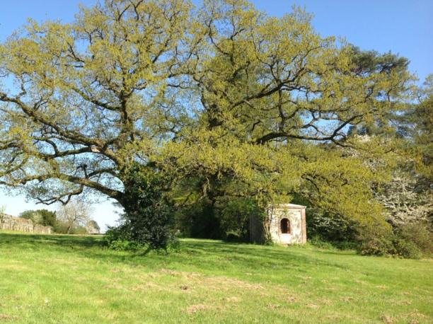 Vue du parc, à droite, une fabrique du XIXème a été conservée