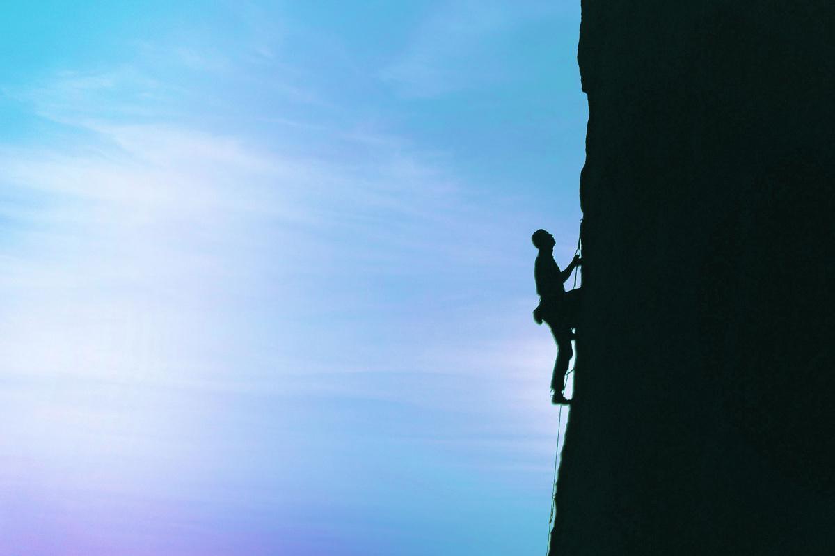 Career Management Career Management