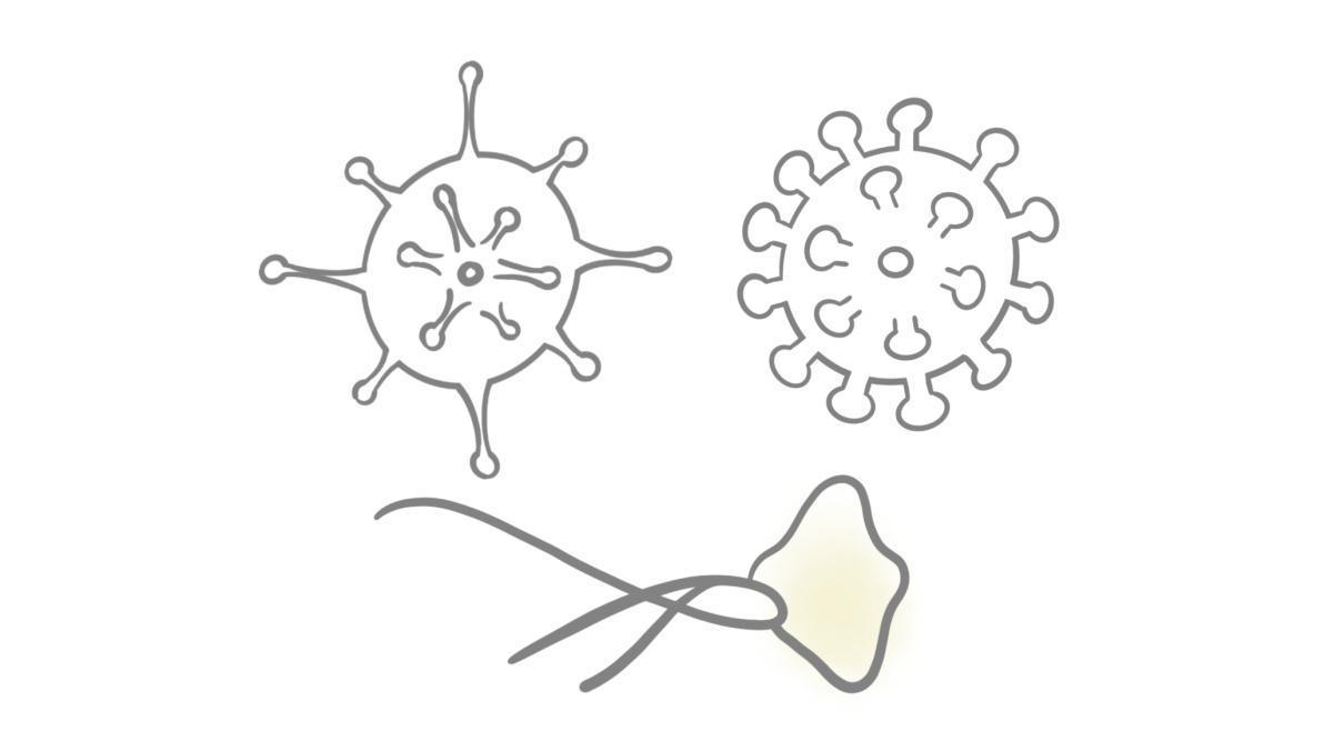 2.9.1.2 RSV, Influenza und Sars-CoV-2 2.9.1.2 RSV, Influenza und Sars-CoV-2