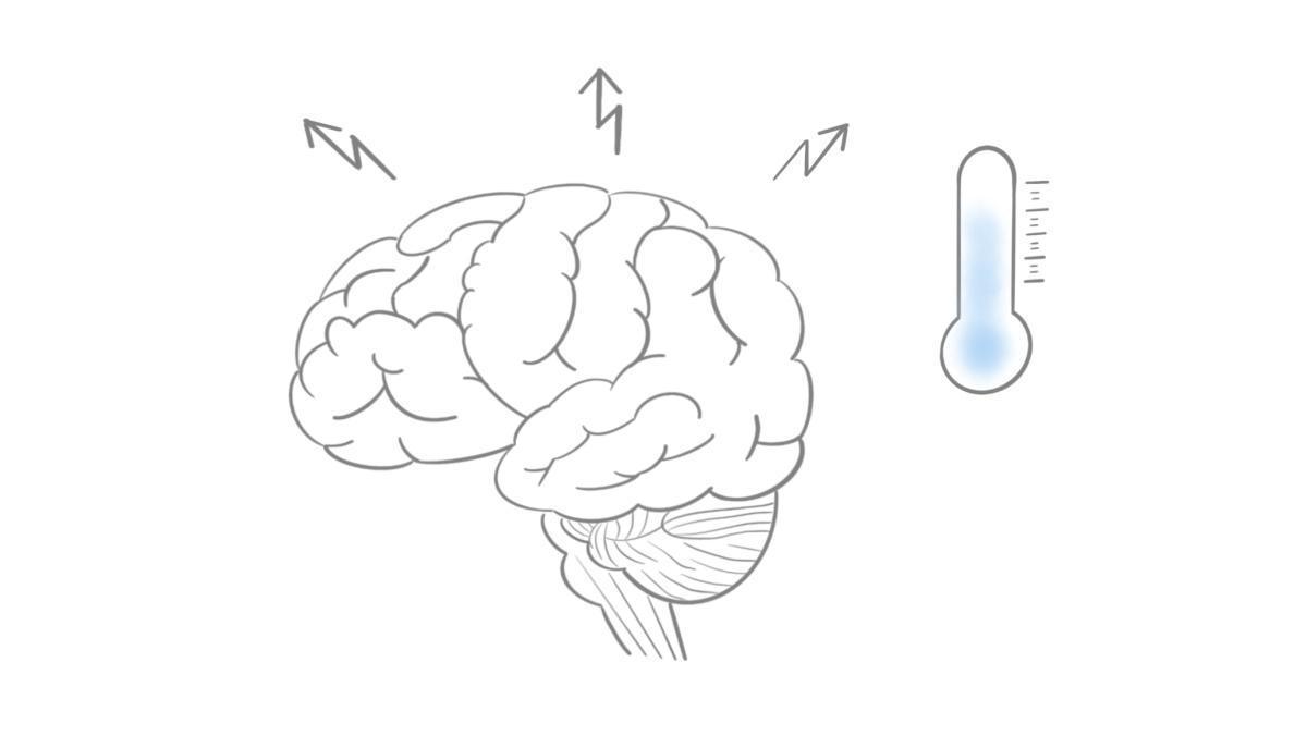 2.8 Fieberkrampf 2.8 Fieberkrampf