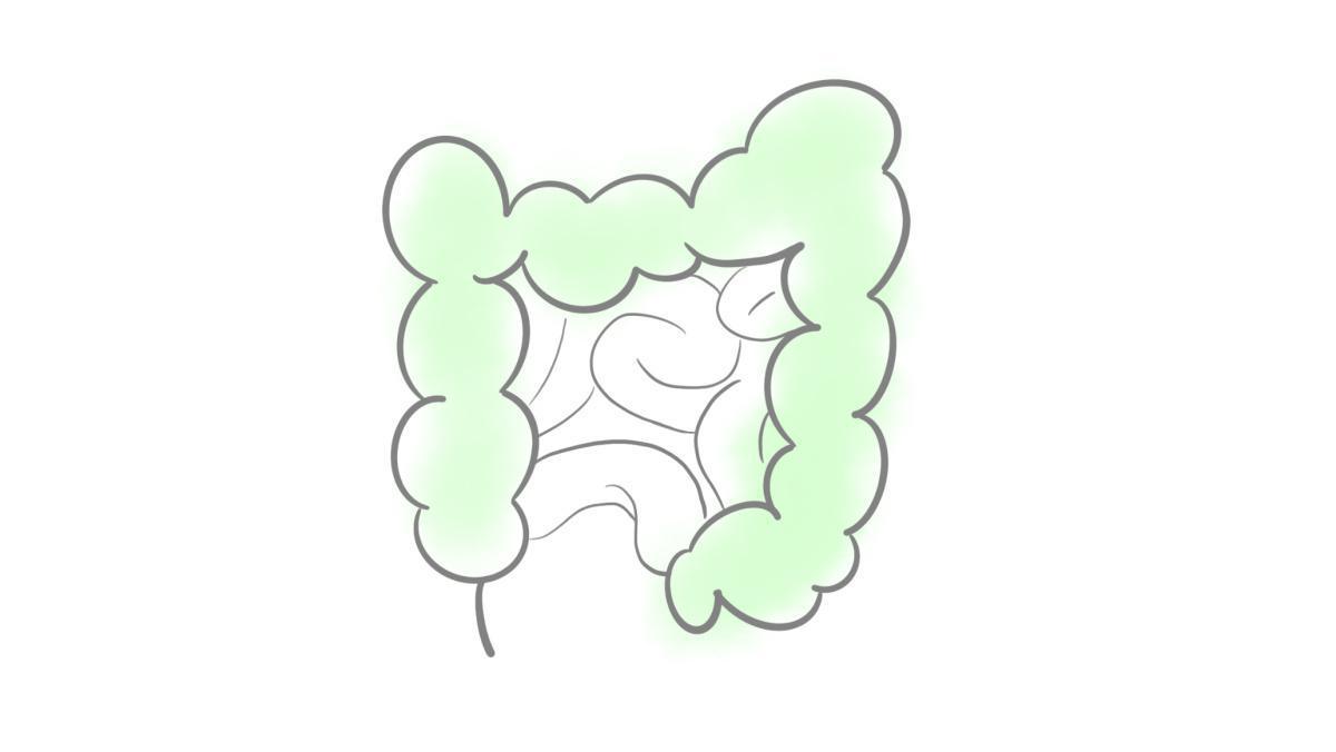11.1 Verdauung und Ernährung 11.1 Verdauung und Ernährung