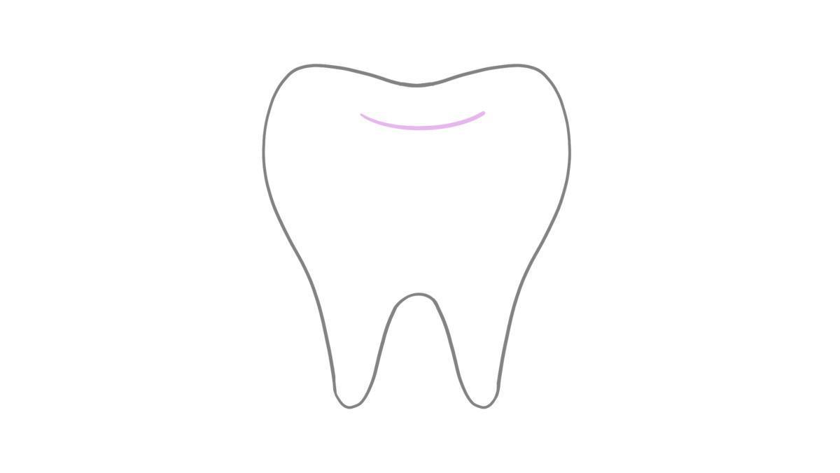 11.7 Zähne 11.7 Zähne
