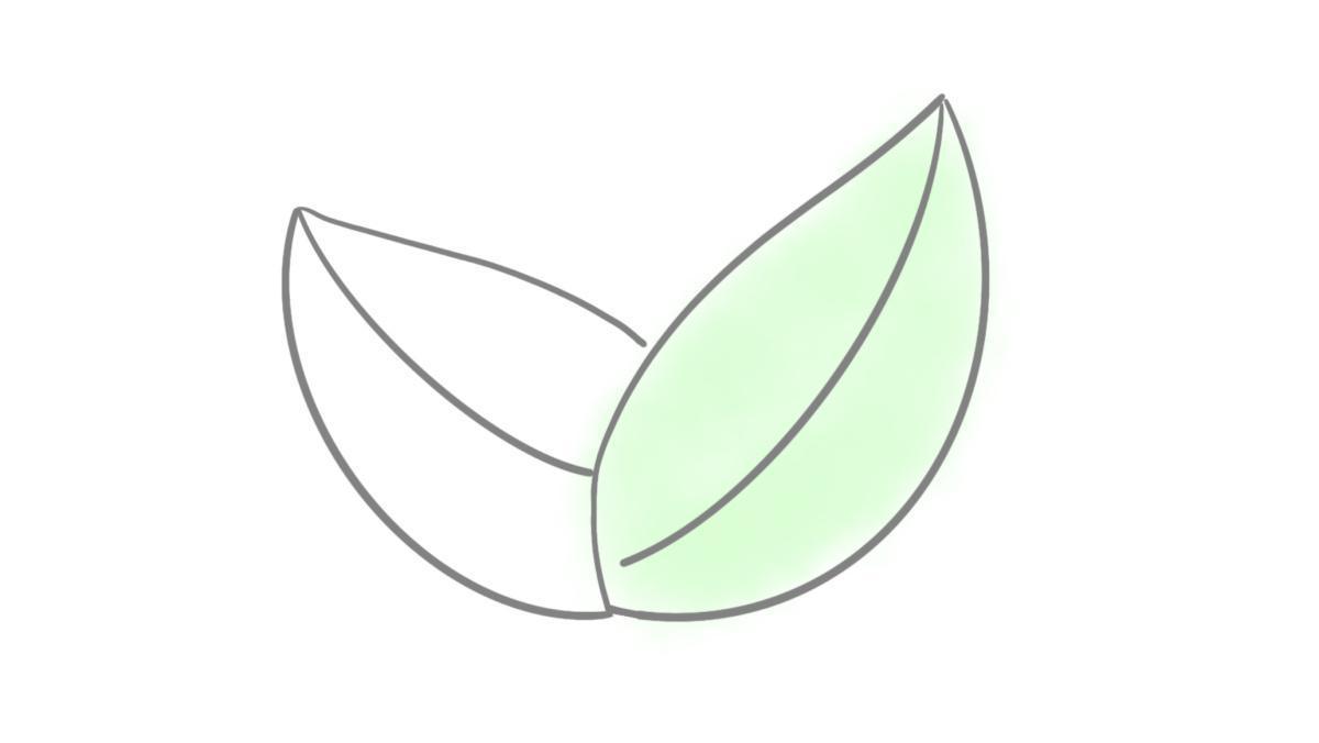 5.5 Vegetarische und vegane Ernährung 5.5 Vegetarische und vegane Ernährung