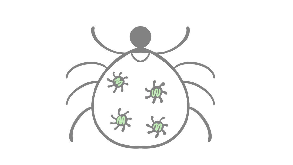 2.9.14 FSME 2.9.14 FSME