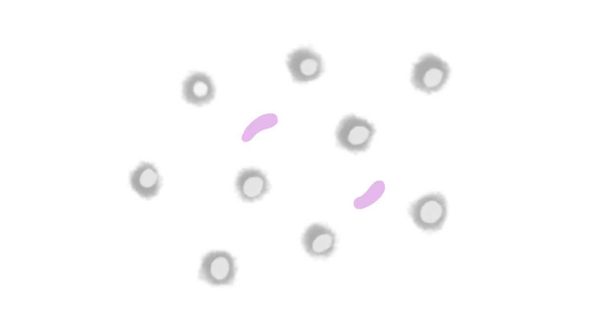 13.4.4 Malariaprophylaxe 13.4.4 Malariaprophylaxe