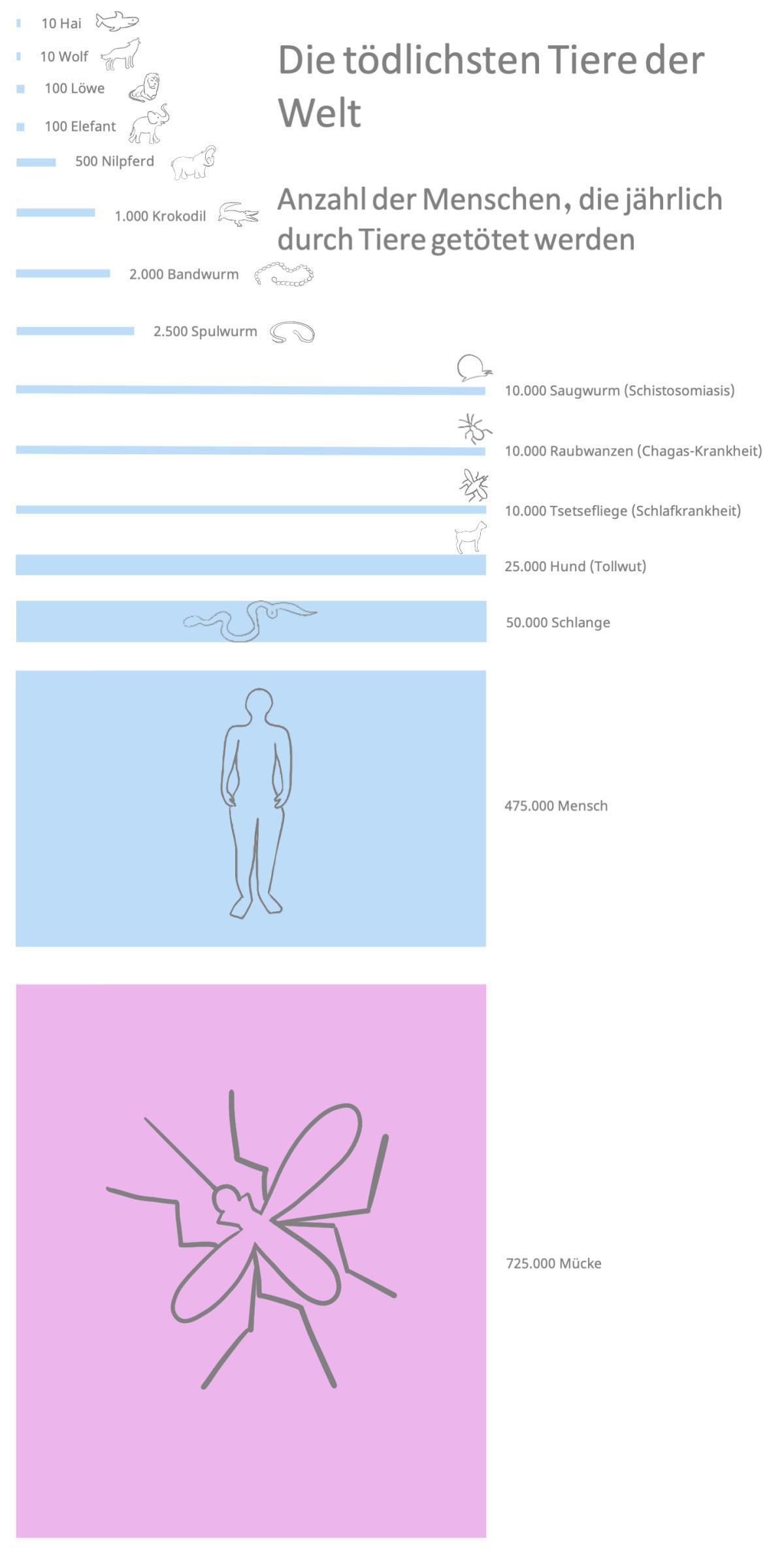 13.4.1 Allgemein 13.4.1 Allgemein
