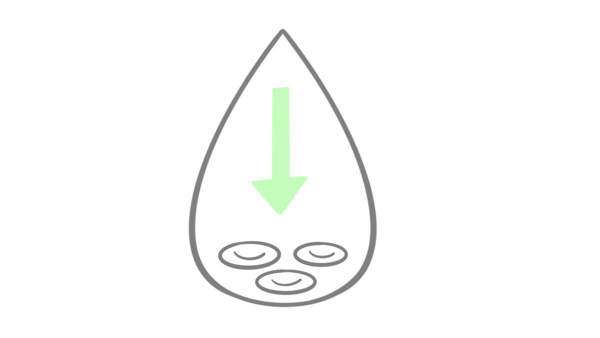 8.8.1 Anämie 8.8.1 Anämie